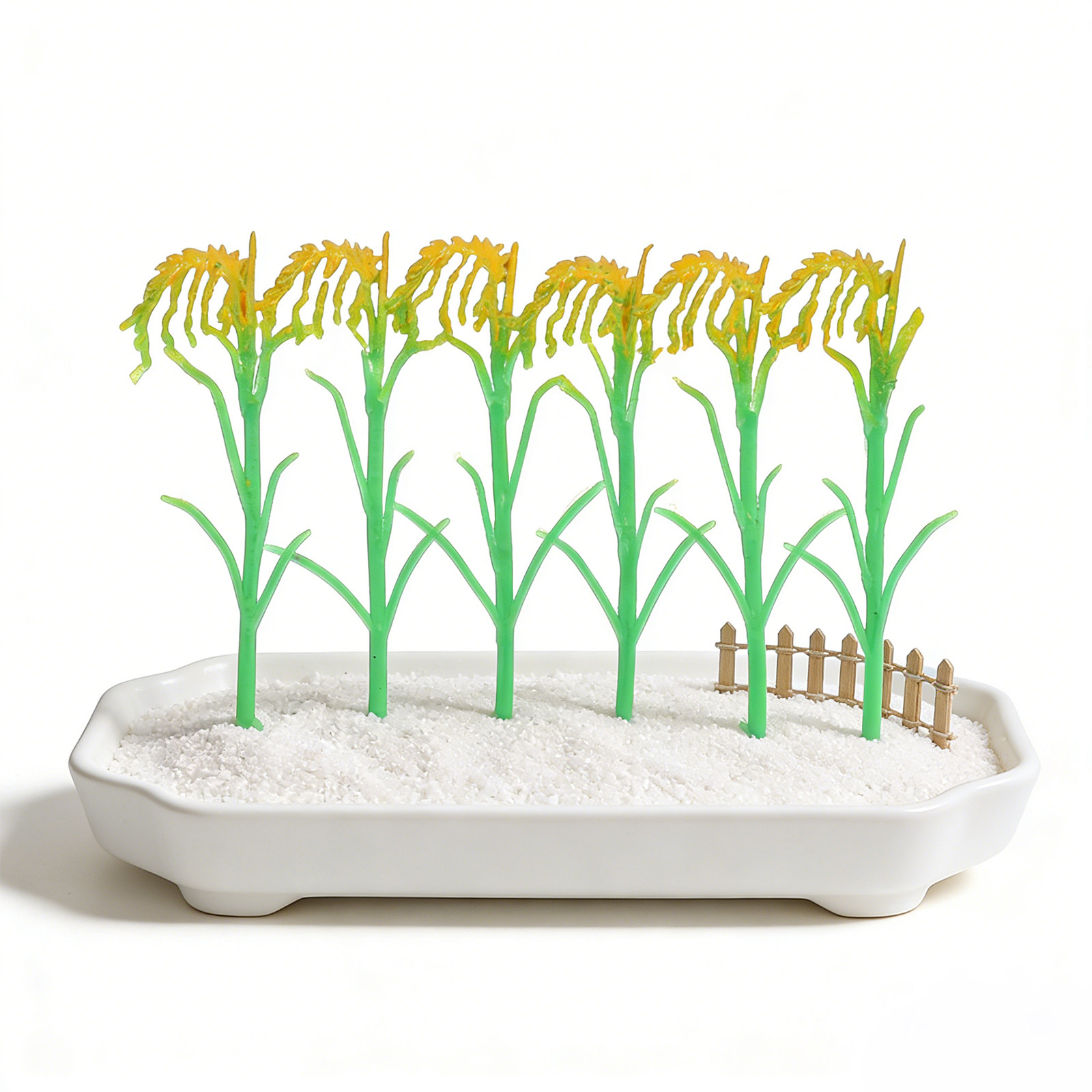 Agriculture Farming Education - Authentic Looking Crop Models for Classroom
