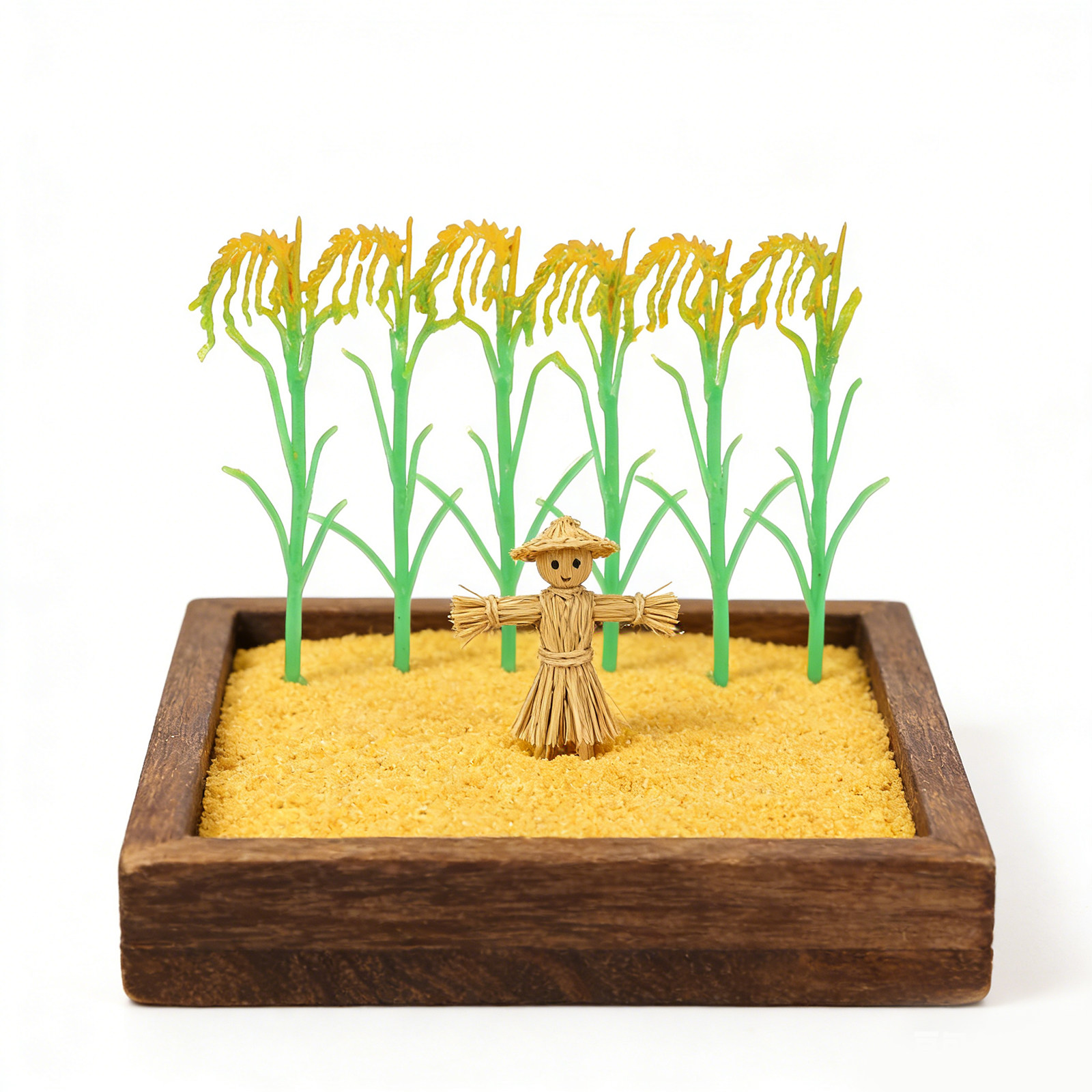 Lifelike Crop for School Farmi - Agriculture Farming School ulasan dan harga