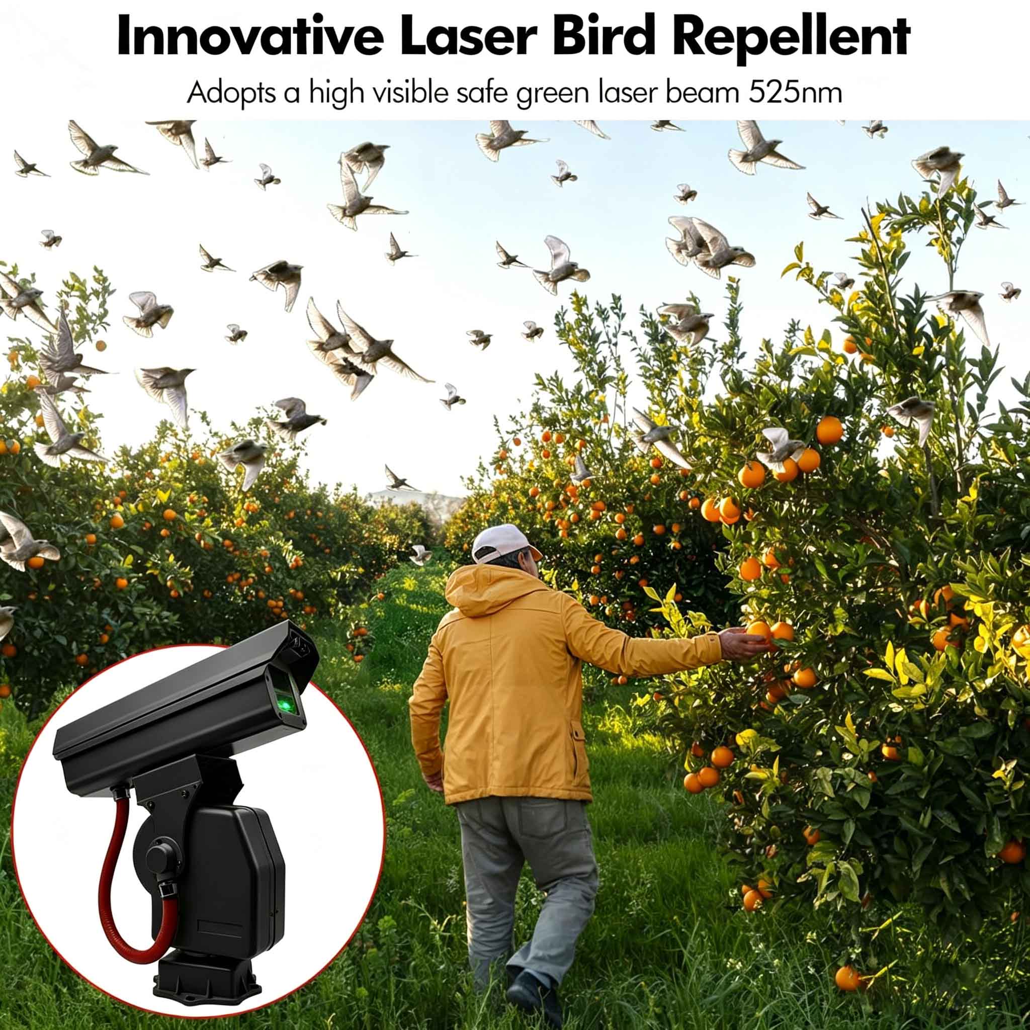 High Precision Smart APP 1W Gr - Precision Farming Smart Agriculture ulasan dan harga